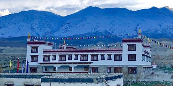 Royal Mustang Resort