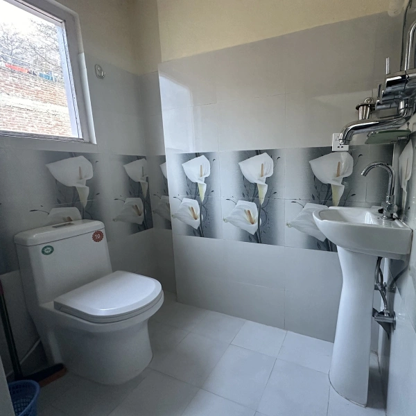 Local Lodges Nepal 2