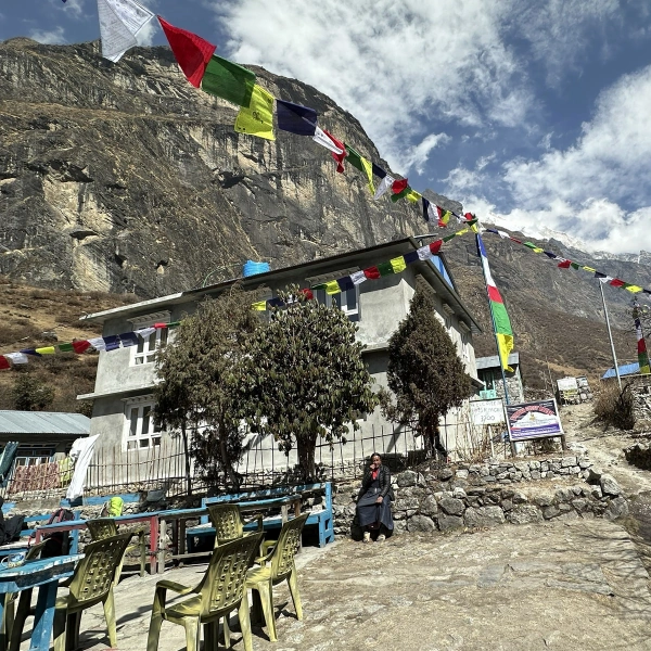 Local Lodges Nepal 5