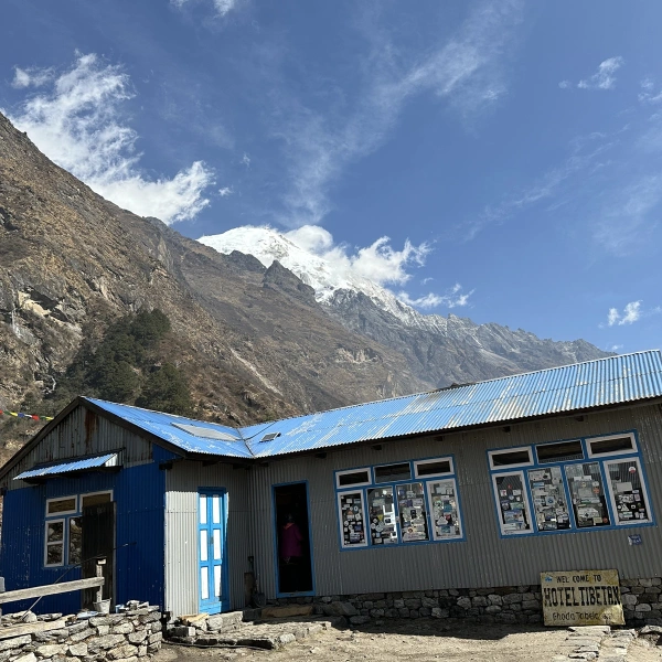 Local Lodges Nepal 6