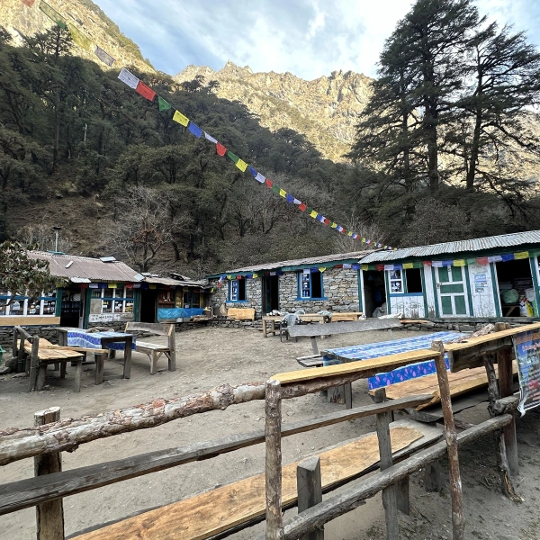 Local Lodges Nepal 7