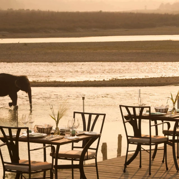 Meghuli Serai Chitwan 3