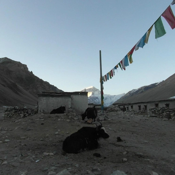 Rongbuk Guest House Tibet 4 
