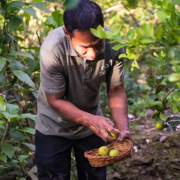 The Old Inn Bandipur 4