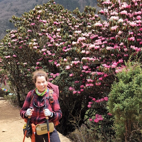Rhododendron Trekking in Nepal: Bloom Season by Altitude