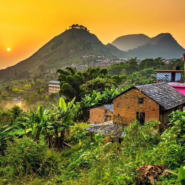 Luxury Bandipur