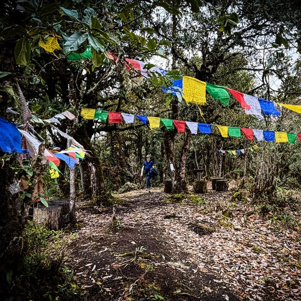 Bhutan Snowman Trek An Honest Complete 2026 Guide
