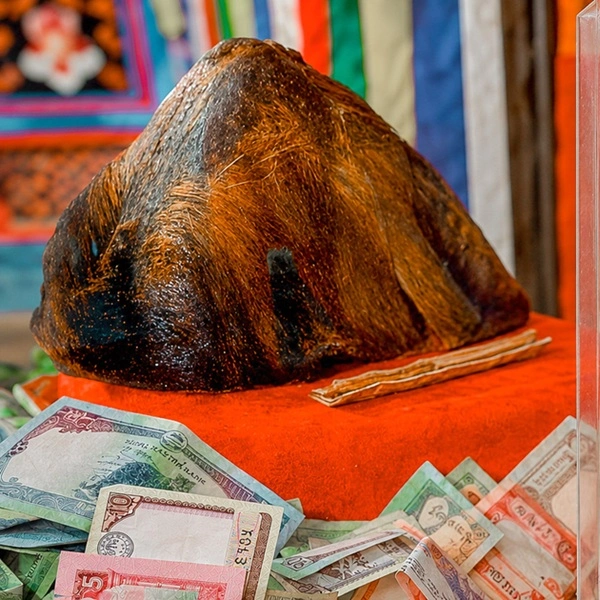 hat Not to Miss on the Luxury Everest View Trek