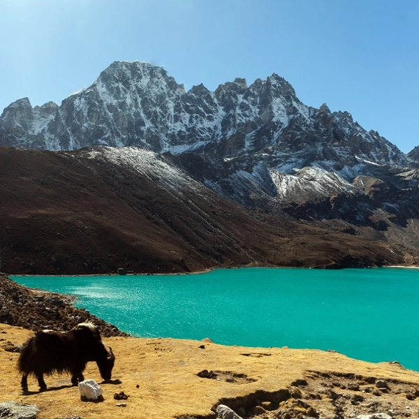 Gokyo Lakes Luxury Trek