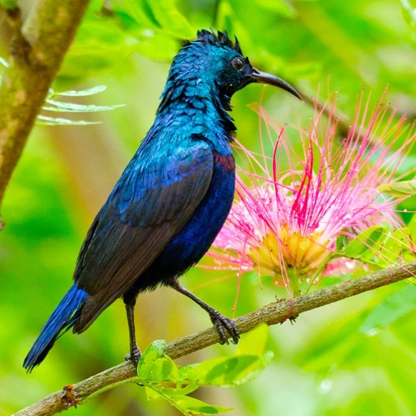 Nepal's Top 5 National Parks