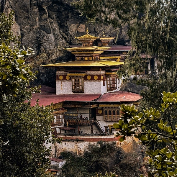 Tiger’s Nest Luxury Guide