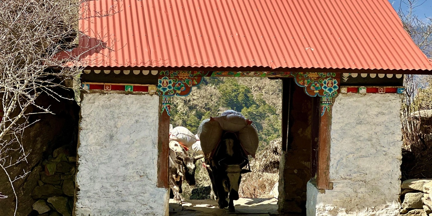 Everest Hybrid Luxury Trek