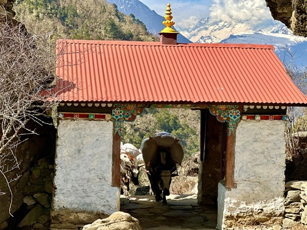 Everest Hybrid Luxury Trek