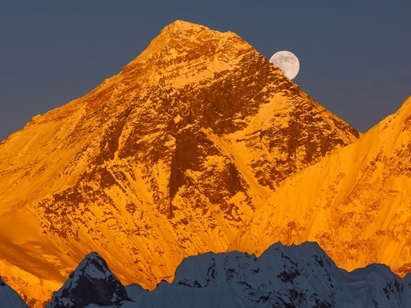 Himalayas, Jungles & Heritage: The Nepal Voyage